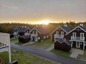 Holiday Home With Spa And Sauna Close To Nature